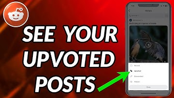 How To See Your Upvoted Posts On Reddit