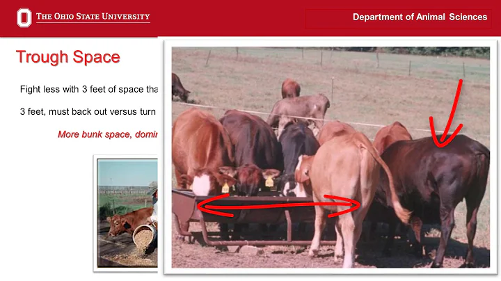 Steve Boyles 2019 Beef School Presentation