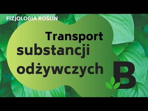 Wideo: Jak Odbywa Się Transport Substancji W Okrytozalążkowych?