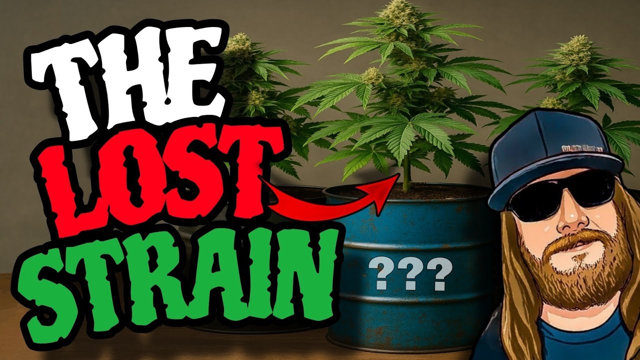 Rare, Exotic, Legendary: Unique Cannabis Strains Lost & Found