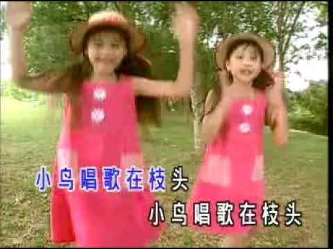 快乐的音乐会 骆驼 小树 卡拉版 四千金 儿童乐园2