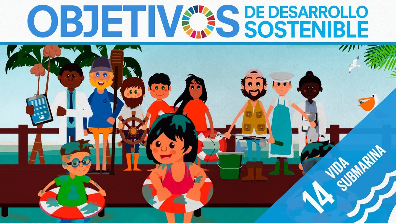 ods-14-vida-submarina-objetivos-de-desarrollo-sostenible-youtube