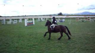 Hazel Roberts Interschools Showjumping Eniscorthy 2010