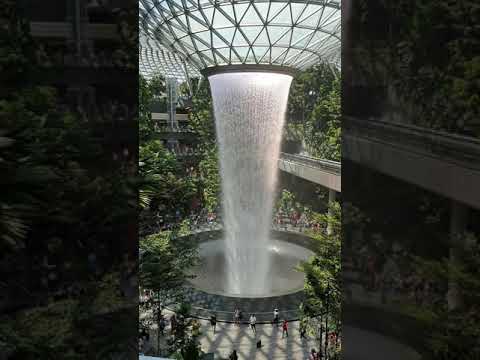 Video: Vodnik po letališču Singapur Changi