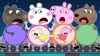 What Happened...Mummy Suzy, Mummy Pig is Pregnant? | Peppa Pig Funny Animation