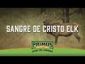 Sangre De Cristo Elk-Bugling Elk At 5 Yds! N. Mexico Elk Bowhunt-Primos Truth About Hunting Season17