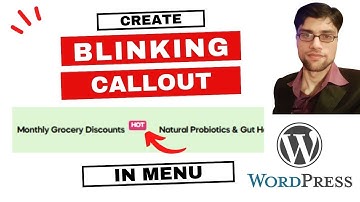 How to Add Highlighted Text in WordPress Menu | Blinking Callout in WordPress Website [Hindi/Urdu]