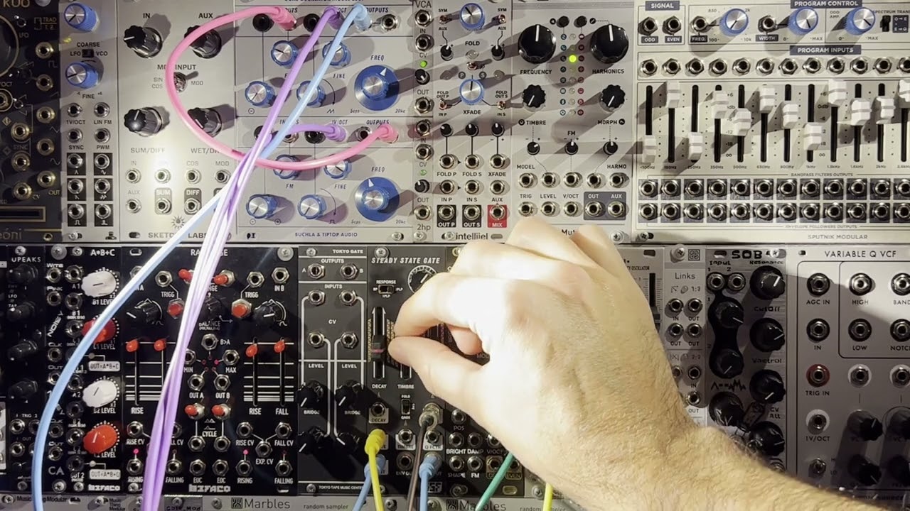 Steady State Fate | Analogue Haven