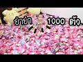 ยำยำ 1000 ตัว