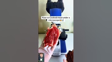 Raw vs cooked meat under the microscope.#shorts  #microscope #cat #microscopic #science