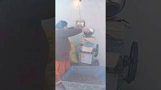 Mountain Woman Hard Life