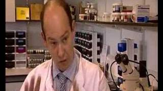 Bluetongue - The Hows And Whys Of Vaccination