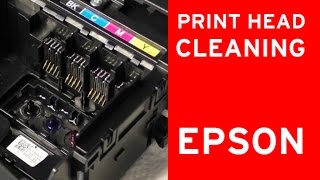 Epson print head cleaner, nozzle cleaning  flushing clogged nozzles