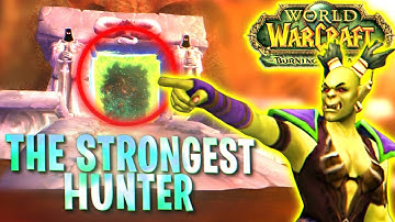 Playing Hunter With One Goal: Become the Strongest Before TBC