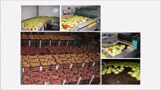 SCD Bio Ag in Fruit Cultivation