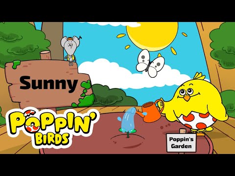 Weather Song POPPIN BIRDS