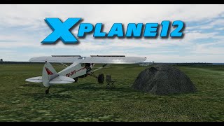 : X-Plane 12 | Piper PA-18 KingCub STC |   