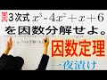 因数定理 ３次式 因数分解【一夜漬け高校数学238】