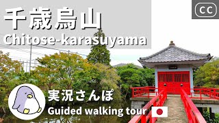 【実況街ブラ】世田谷の小京都！？千歳烏山をお散歩してみた！えるもーる烏山も。 Walking around Chitosekarasuyama Station