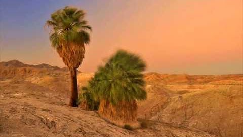 تلاوة راائعه ونديه لسورة غافر للشيخ أحمد العبيداستمتع