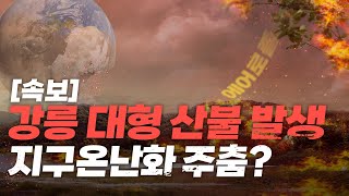 강릉 대형 산불로 지구온난화가 주춤?????