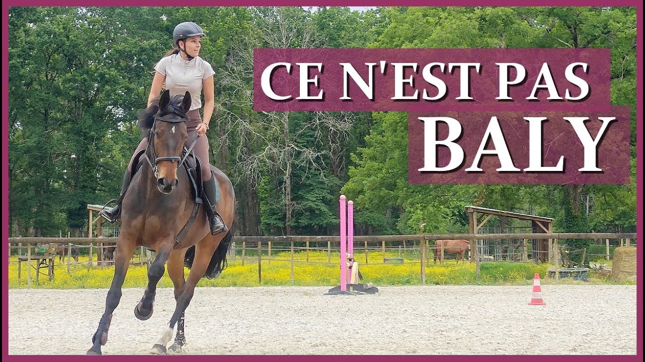 1m80 AU GARROT ! - J'essaie ma peut être future demi-pension