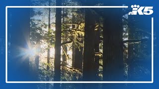 Multiple black bear sightings reported on Mount Si following attack on teen