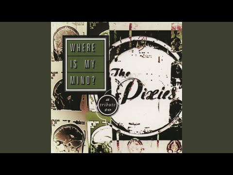 【LP】The Pixiesトリビュート盤/Where Is My Mind? Where Is My Mind?: A Tribute To The Pixies – Vinyl (Blue, LP