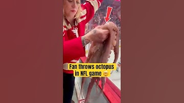 Why Do Hockey Fans Throw OCTOPUS on the Ice?! 🤯