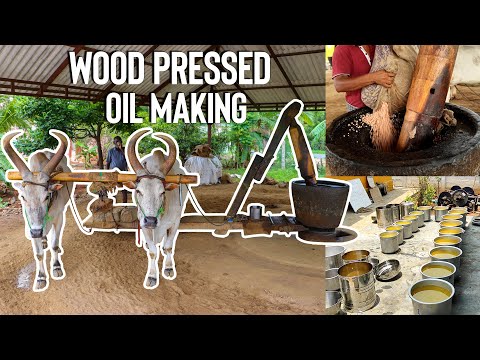 மாட்டு மரச்செக்கு எண்ணெய் | HOW Groundnut (Peanut) Oil is made Wood Cold Pressed Oil | Chekku Ennai | South Indian Food