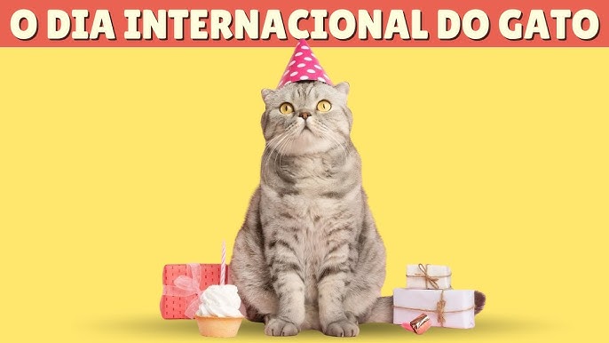 No Dia Mundial do Gato, assista aos vídeos mais populares do  -  Estadão