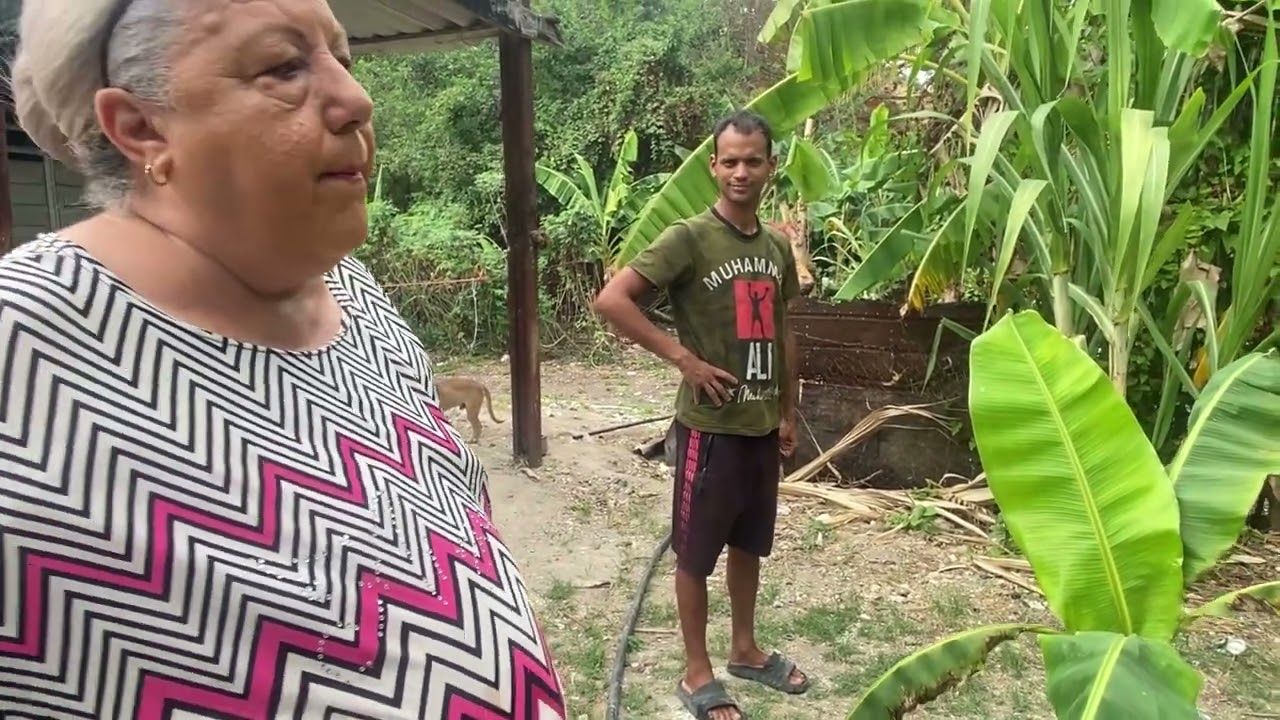 @Juanaysusnietas mostrándoles la finca Sobreviviendo en cuba