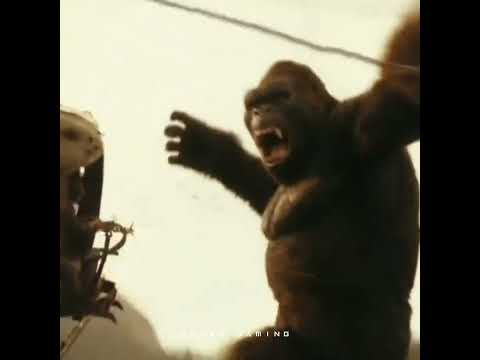 Kong vs Helicopter