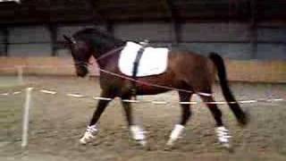 Linda Fit Met Bit Hoevelaken 2