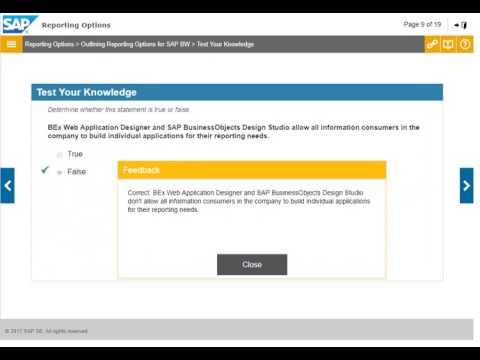 BEx Reporting Options