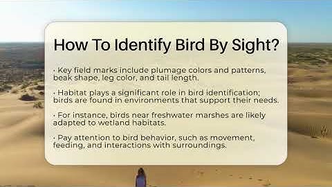 How To Identify Bird By Sight? - Ecosystem Essentials