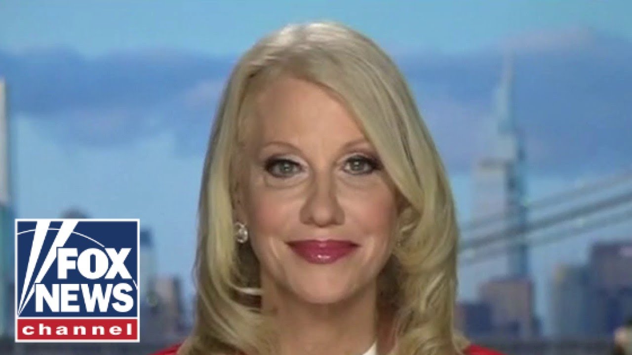 Kellyanne Conway: This isn’t a wave, it’s a political realignment