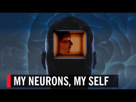 ⁣My Neurons, My Self | 2016