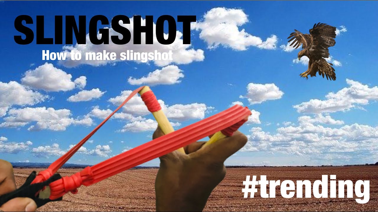 Slingshot hunting 🇦🇺 YouTube