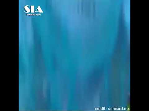 Smallest raincoat Clearance