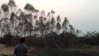 ROBOHOP FLYING