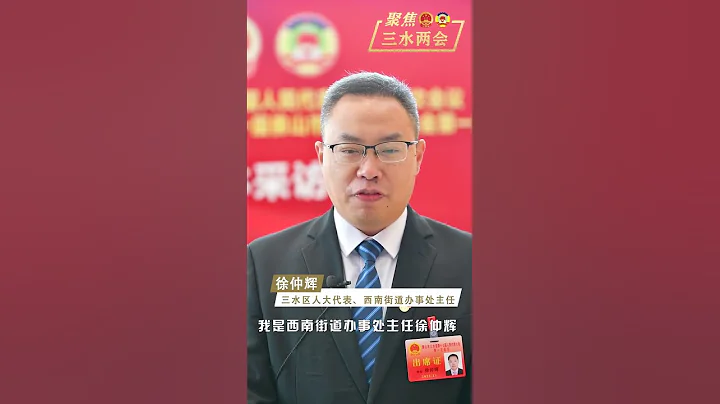 聚焦三水两会︱徐仲辉为西南打Call：高品质中心城区邀您共创新辉煌 - 天天要闻