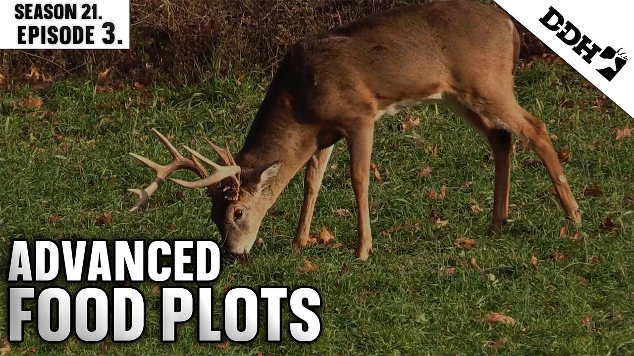 Advanced Food Plots | Deer & Deer Hunting TV - YouTube
