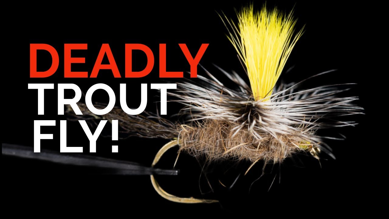 Paranymph Fly Pattern Tying & Fishing the ParaNymph with Tom Baltz – Legendary Parachute Fly ...