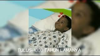 tulus-1000 tahun lamanya (speed up)☝️😍