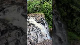 Hilo Falls Hawaii 🌺