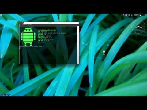 Fun Terminal - "Oneko"