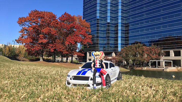 Sunday drive with Harley