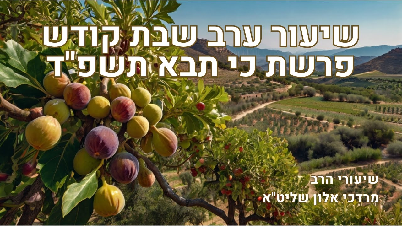 שיעור ערב שבת פרשת כי תבא תשפד - YouTube