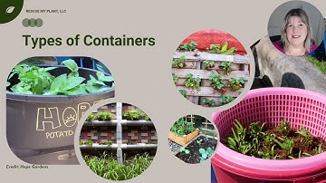 🌿 Container Grown Goodness | Video 1: Introduction to Container Gardening